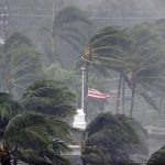 Make sure Irma charities are reputable, advises Registry