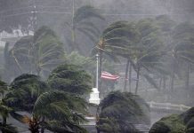 Make sure Irma charities are reputable, advises Registry