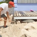 Little Cayman residents save sea turtle trapped under porch