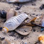 Cayman’s environmental neglect exposed in watchdog report