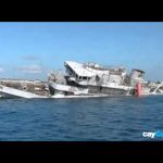 The changing faces of the Kittiwake