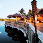 It’s 10 pm in Cayman. Do you know where your dinner is?