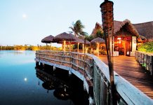 It’s 10 pm in Cayman. Do you know where your dinner is?