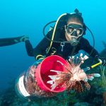 Plans to export invasive lionfish & iguana face stumbling block