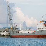 Port Authority terminates suspended director