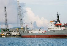 Customs: Online ‘challenges’ mostly fixed