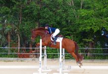 Cayman places second in regional jumping challenge