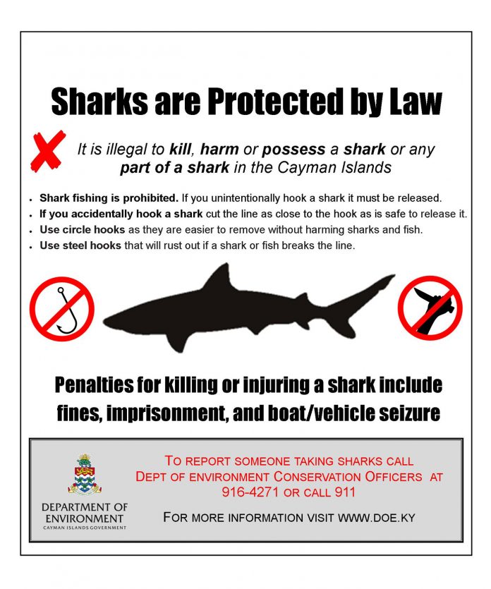 No-Killing-Sharks2-(1)
