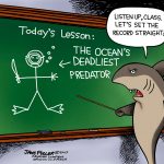 The ocean’s deadliest predator