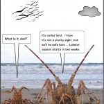 Lobster season