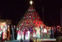 Singing Christmas tree comes alive next weekend