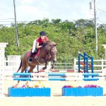 Clear skies and clear rounds for National Jumping Series opener