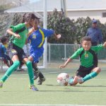 Academy Sports Club leases Triple C field