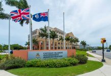 EDITORIAL – Consultants’ reports: What did we get for $35 million of advice?