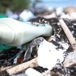 Ocean Conservation Month puts focus on plastic pollution