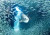 Cayman’s most memorable photos of 2017