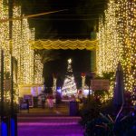 Dreaming of a bright Christmas