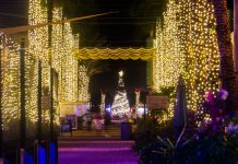 Dreaming of a bright Christmas