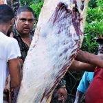 ‘What Christmas is all about’: Fresh meat a holiday tradition