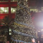 Rotary gets into festive spirit with tree lighting