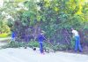 Residents clean up Prospect roadsides