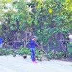 Residents clean up Prospect roadsides