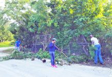 Residents clean up Prospect roadsides