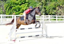 Ziemniak shines at second jump show of the season