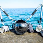 Underwater photographers wanted for reef exhibit