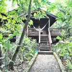 Discovering the magic of The Lodge at Pico Bonito