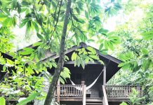 Discovering the magic of The Lodge at Pico Bonito