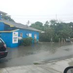 2017 wettest year in seven years