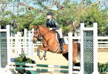 Jumping Show at Cayman Riding School