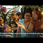 Orchid Show continues to grow