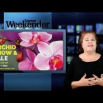 Weekender Spotlight