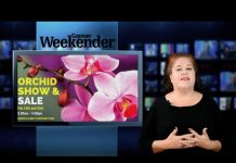 Weekender Spotlight