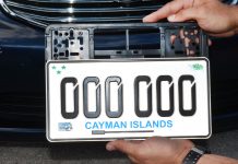 Drivers urged to check online for new license plates