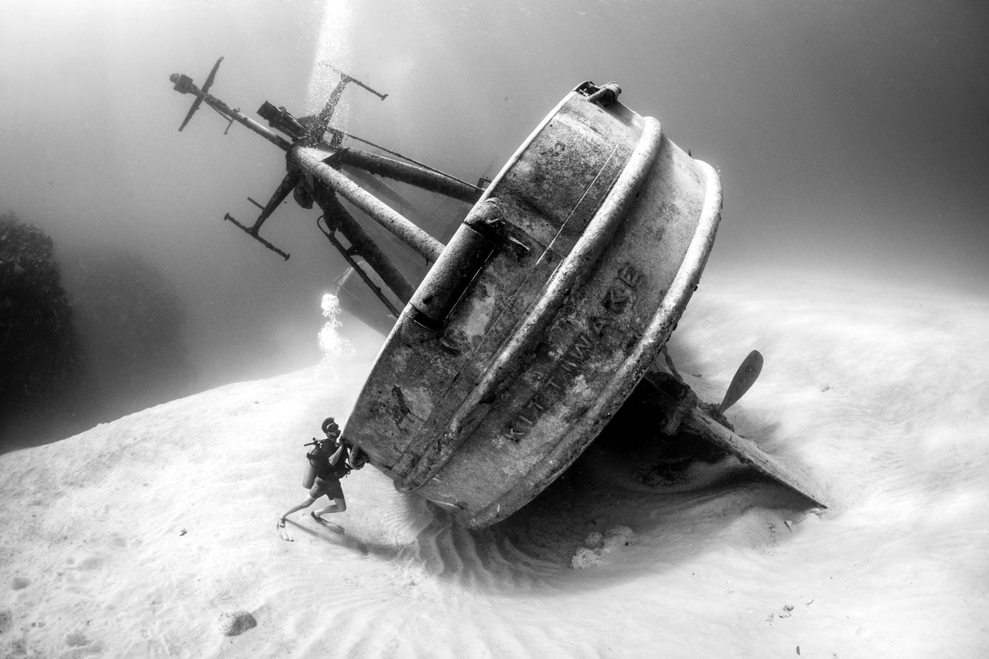 OCD-Diver