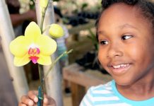 Orchid Show, plant sale return to Botanic Park