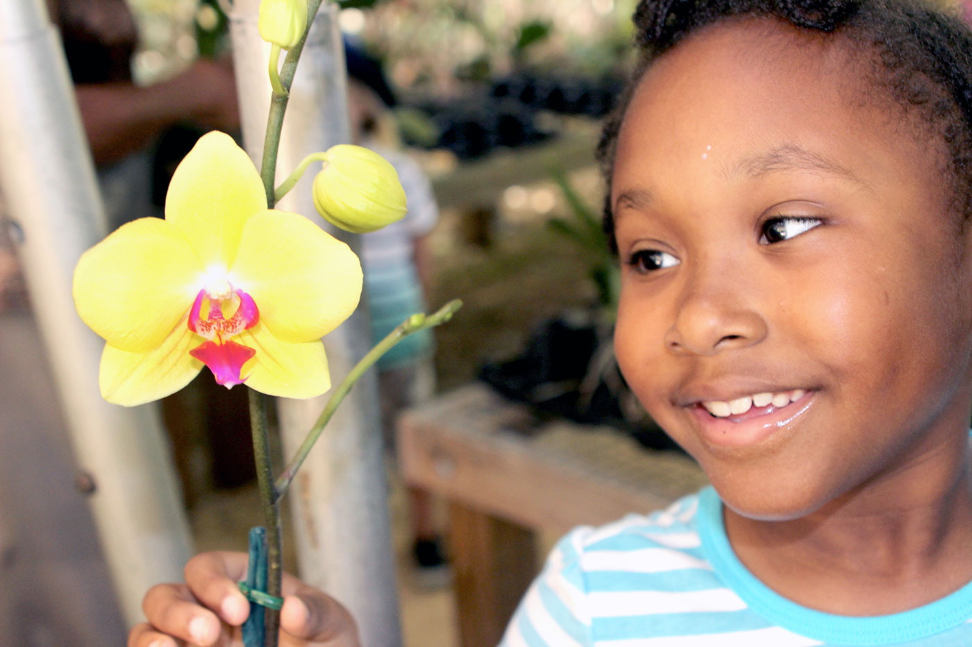 botanic-garden-orchid-show-(2)-alyssa