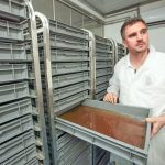 Government backs away from genetically modified mosquito rollout