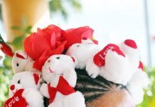 Going bear-headed for Valentine’s Day