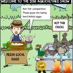 Eggs for sale