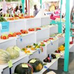 Ag Show celebrates 51 years