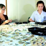 Volunteers piecing together Cayman’s past