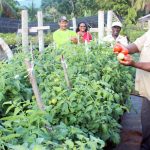 Cayman prepares for 51st Agriculture Show
