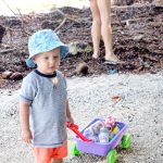 175 people turn out for SafeHaven beach cleanup
