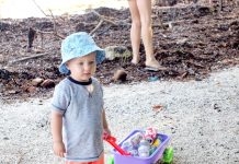 175 people turn out for SafeHaven beach cleanup