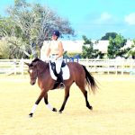 Cayman equestrians win online dressage competition