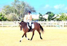 Cayman equestrians win online dressage competition